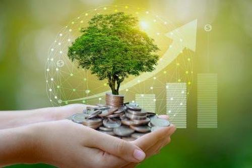 Green tree and money in hands